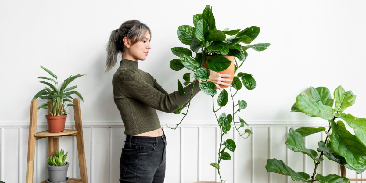 Foto de mulher mexendo em plantas.