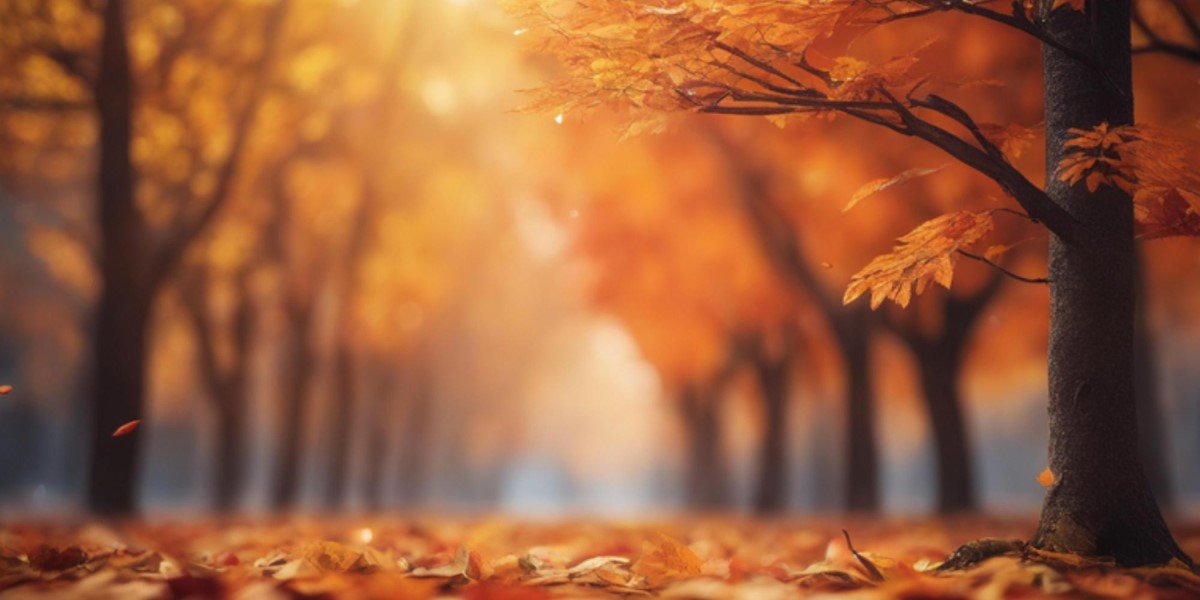 Paisagem de um parque no outono com fileiras de árvores e folhas caídas