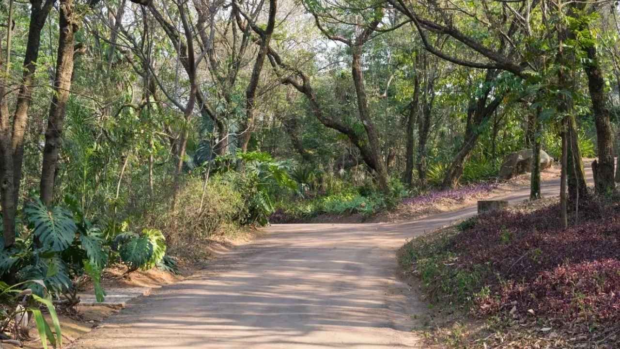 Imagem O que tem para fazer em Jundiaí: guia completo de lazer, cultura e natureza