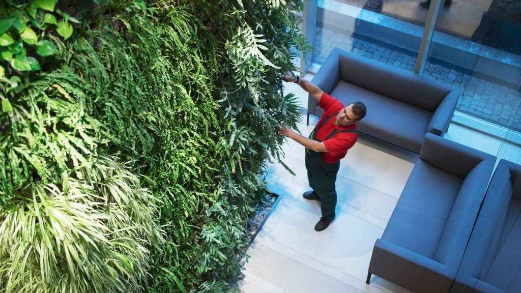 Uma vista de cima mostra um homem de uniforme vermelho inspecionando um exuberante jardim vertical em um ambiente interno. A parede verde, repleta de diversas espécies de plantas, se destaca ao lado de sofás cinza, ilustrando a beleza e a complexidade de como fazer um jardim vertical.