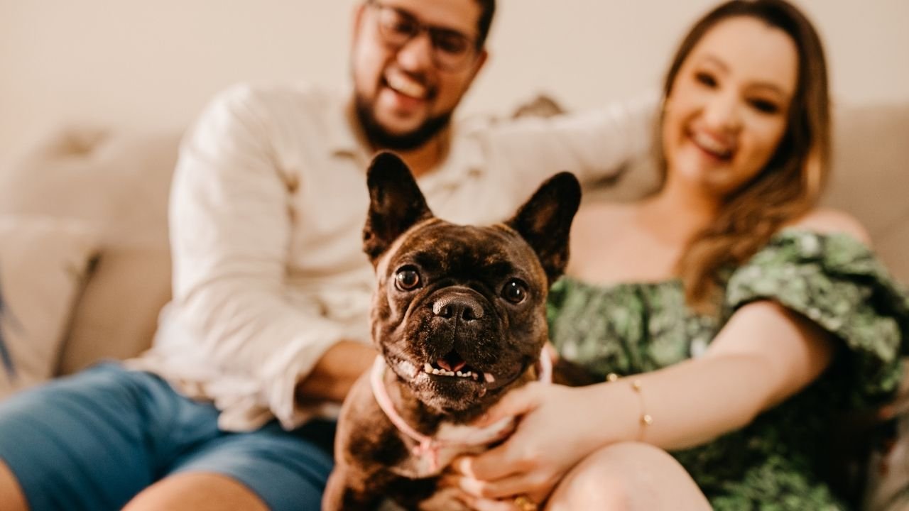 Imagem Cachorros para apartamento: raças e cuidados para espaços pequenos