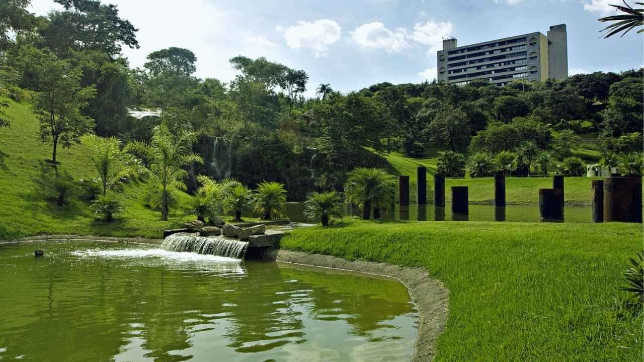 Passarela de madeira em área preservada de Jundiaí, cercada por vegetação nativa, ideal para passeios em família e contato com a natureza.